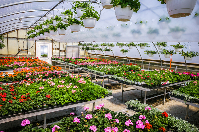 Featured Property For Sale Heather Gardens, West Tisbury. Tea Lane